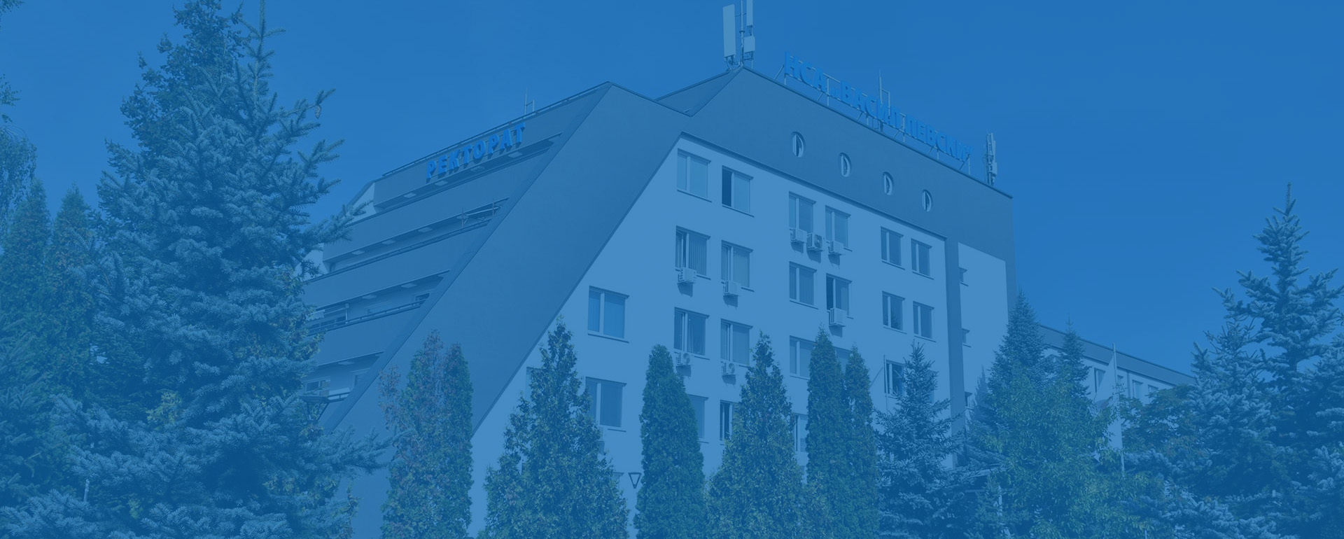 Header Slide 1